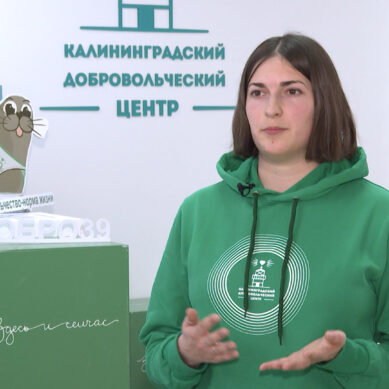 Как реализуется экологическое волонтёрство в Калининградской области