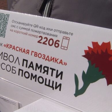 Как в Гусеве проводят всероссийскую акцию помощи ветеранам «Красная гвоздика»