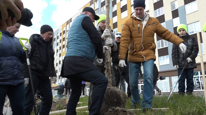 На акции «Зелёный край» Антон Алиханов руководил высадкой граба и липы