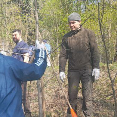 Субботник в будущем парке: Алиханов, Любивый и Дятлова прибрали в лесопарковой зоне (ФОТО)