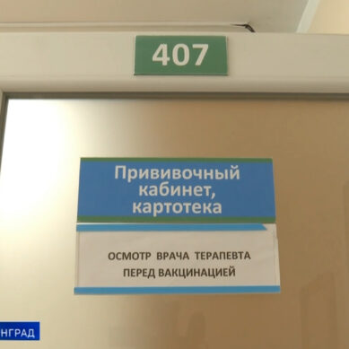 Как в Калининграде проходит вакцинация против клещевого энцефалита