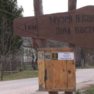 В Калининградской области озвучили идею создания философского парка