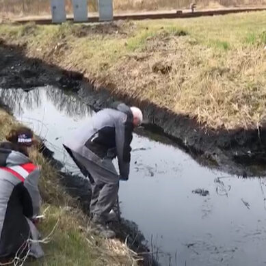 В Балтийске в канаве вдоль Нижнего шоссе нашли нефтепродукты
