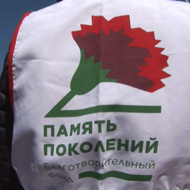 В Калининградской области стартовала благотворительная акция «Красная гвоздика»: каждый может помочь ветеранам