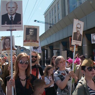 Когда начнётся шествие «Бессмертного полка» 9 мая в Калининградской области