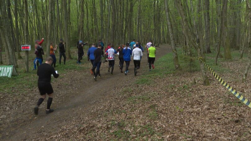 В Калининградской области состоялся второй турнир по спортивному ориентированию среди «Динамовских» организаций