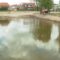 Большая лужа или маленький пруд. Как сейчас выглядит в Калининградской области бассейн с минеральной водой