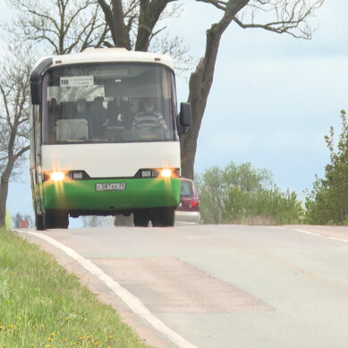 За неделю Госавтоинспекция проверила более сотни автобусов и выявила нарушения