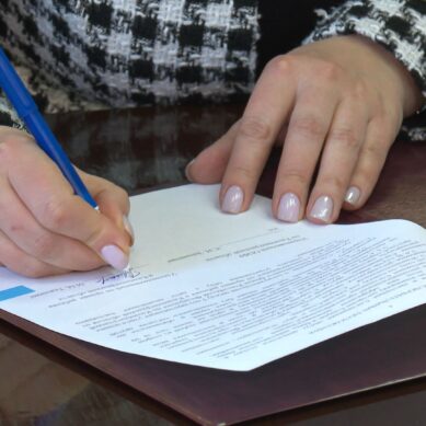 Региональный детский омбудсмен и ПФР заключили соглашение о сотрудничестве