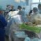 В Калининградской области провели операцию по удалению опухоли почки с использованием 3D-оборудования