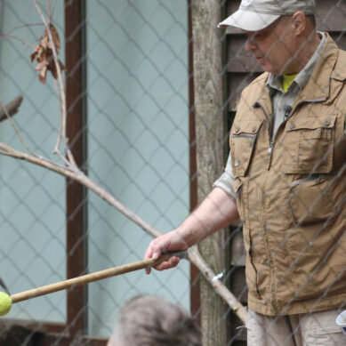 В Калининградском зоопарке начались съёмки «Диалогов о животных»