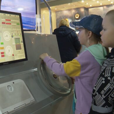 В Международный день защиты детей Музей Мирового океана представил новые семейные квест-маршруты