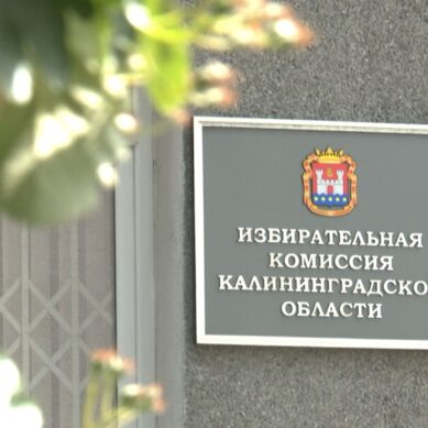 Избирком принял документы от Антона Алиханова, выдвинутого на должность губернатора Калининградской области