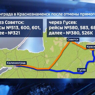 Из Калининграда в Краснознаменск отменили прямой автобус