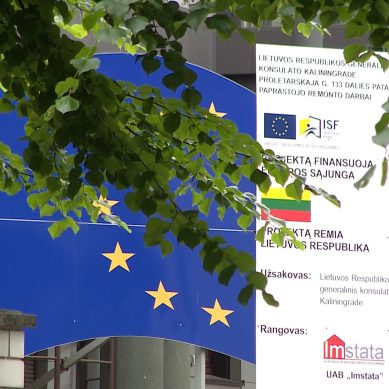 Руководство Литвы договорилось с Еврокомиссией об основных принципах транзита РФ в Калининград