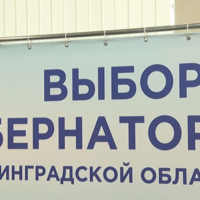 Выборы в формате электронного дистанционного голосования проведут в Калининградской области и ещё в 7 регионах страны