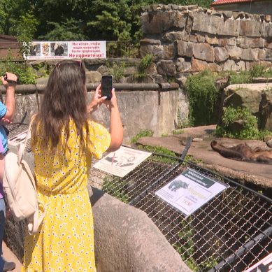 В честь 75-летия калининградский зоопарк запустил мобильное приложение