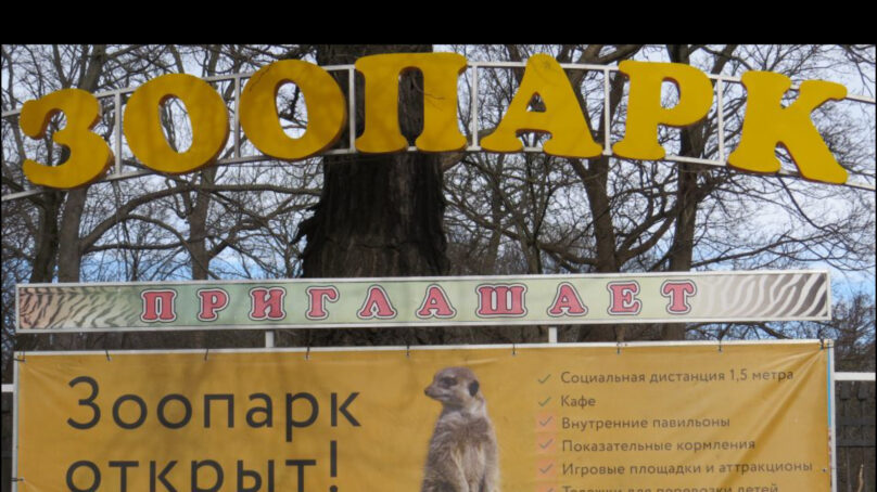 Калининградский зоопарк приглашает послушать музыку