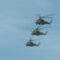 Первая репетиция воздушной части парада в честь Дня ВМФ прошла в небе над Балтийском
