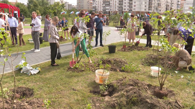В Калининграде на Сельме выпускники-медалисты высадили деревья