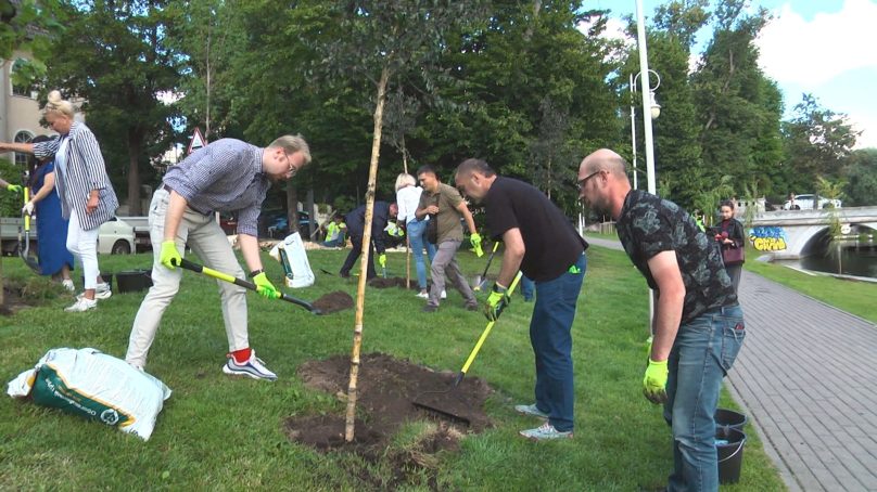 В Калининграде на Верхнем озере высадили 83 дерева