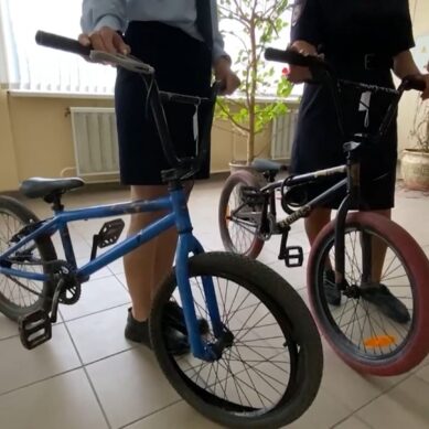 В Калининграде два угнанных велосипеда вернули своим владельцам полицейские