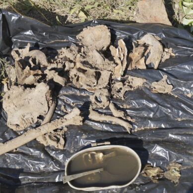 В Гусевском районе нашли останки трёх красноармейцев