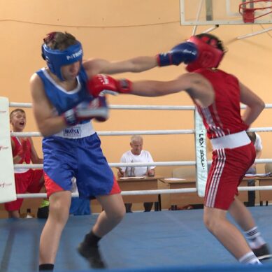 В Ладушкине организовали однодневный турнир по боксу среди детей