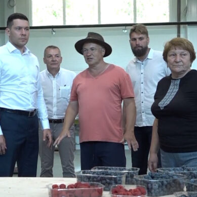 Алиханов посетил с рабочим визитом Зеленоградский округ