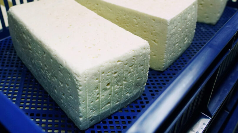 В посёлке Державино Черняховского округа налажено производство сыров с благородной плесенью