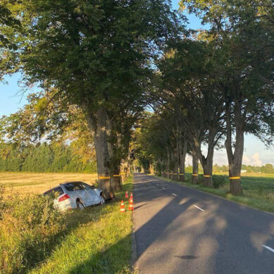 Вчера в Гурьевском районе 21-летний автомобилист врезался в дерево