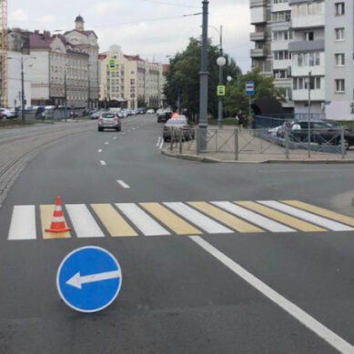 В Калининграде водитель не понял манёвр пешехода