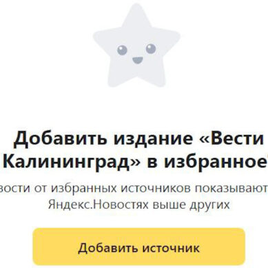 Добавляйте «Вести. Калининград» в избранное на «Яндекс. Новости»!
