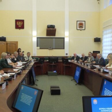 Из Москвы прибыли чиновники, что бы перенять опыт властей Янтарного края