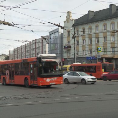 В Калининграде не ожидается повышение стоимости проезда в общественном транспорте
