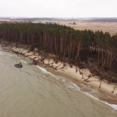 Буны из лиственницы и экран, удерживающий песок, должны появиться на пляже возле поселка Куликово