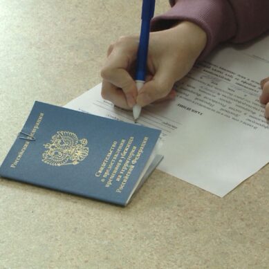 Беженцы с востока Украины проголосовали на референдуме о вхождение республик Донбасса в состав России