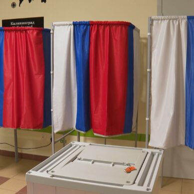 Завтра в Калининградской области состоятся выборы губернатора и депутатов в нескольких муниципалитетах