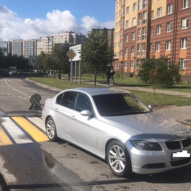 «Выбежала на красный свет». В Калининграде 10-летняя девочка попала под колёса машины
