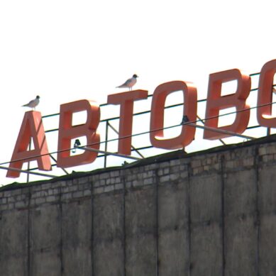 За избиение мужчины на автовокзале в Калининграде охранники отправятся в тюрьму