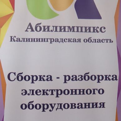 Стали известны участники региональной сборной, которые представят Калининградскую область в национальном финале проекта «Абилимпикс»