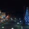 Власти Калининграда отказались от покупки новогодней ёлки на 56 млн рублей