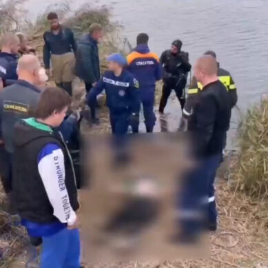 Смертельное ДТП под Калининградом. 33-летний водитель сбил двух рыбаков и опрокинулся с ними в залив
