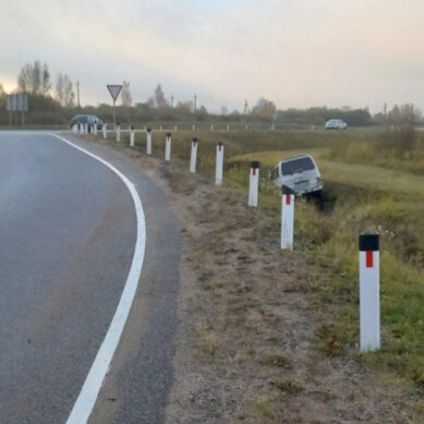 В Калининградской области водитель уснул за рулем и съехал в кювет
