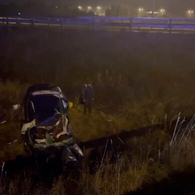 В пятницу вечером в ДТП на Приморском полукольце погибли водитель и его пассажирка
