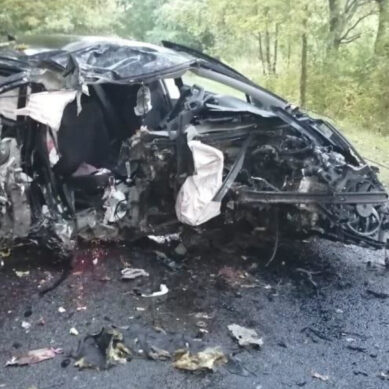В Калининградской области в аварии ранним утром погибла пассажирка легковушки