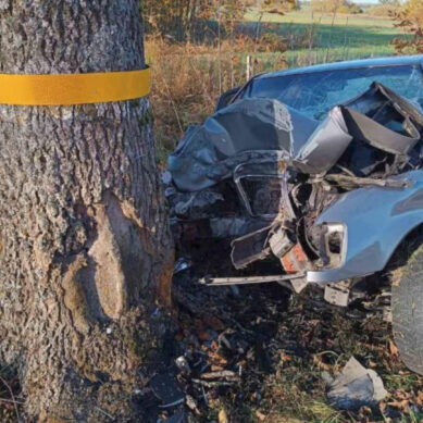 В понедельник в Краснознаменском районе Калининграда девушка за рулем «Мерседеса» врезалась в придорожное дерево