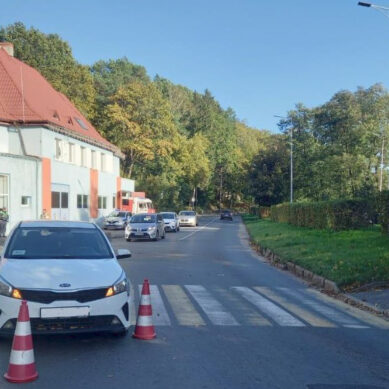 В курортном Светлогорске 76-летний пешеход попал под колеса автомобиля «Киа»