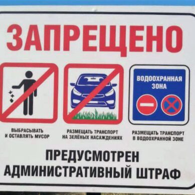 После сюжета калининградских «Вестей» на территории водоохранной зоны в Мечниково поставили запрещающий знак