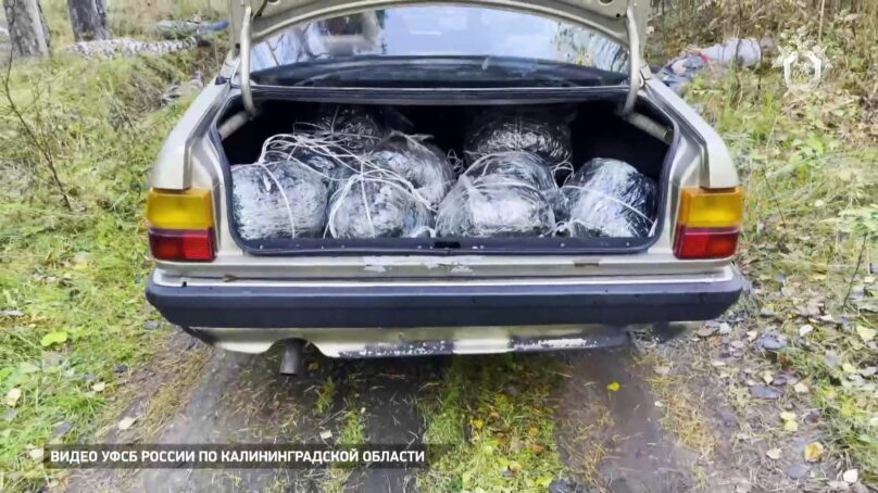 Из региона в Литву пытались нелегально вывезти 500 кг янтаря